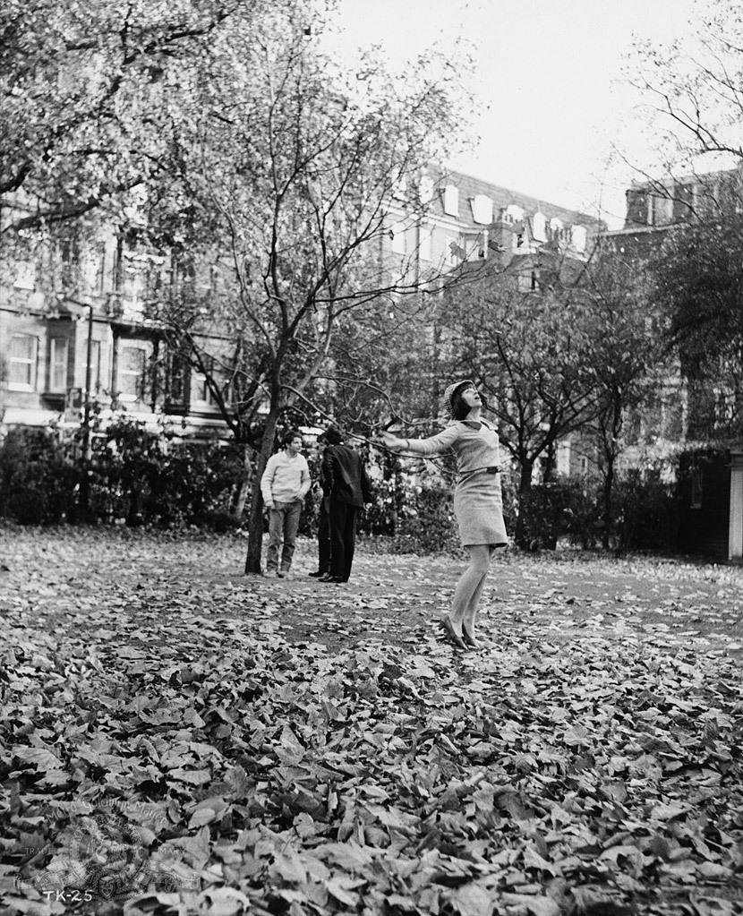 Ray Brooks, Michael Crawford, Donal Donnelly, and Rita Tushingham in The Knack... and How to Get It (1965)