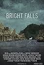 Bright Falls (2010)