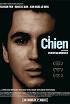 Le chien (2007)