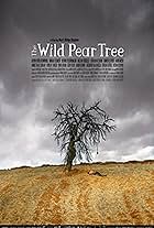 Making of the Wild Pear Tree