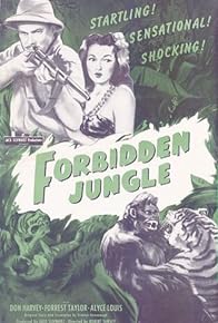 Primary photo for Forbidden Jungle