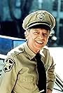 Don Knotts in Return to Mayberry (1986)