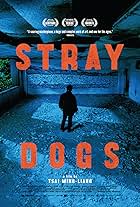 Stray Dogs