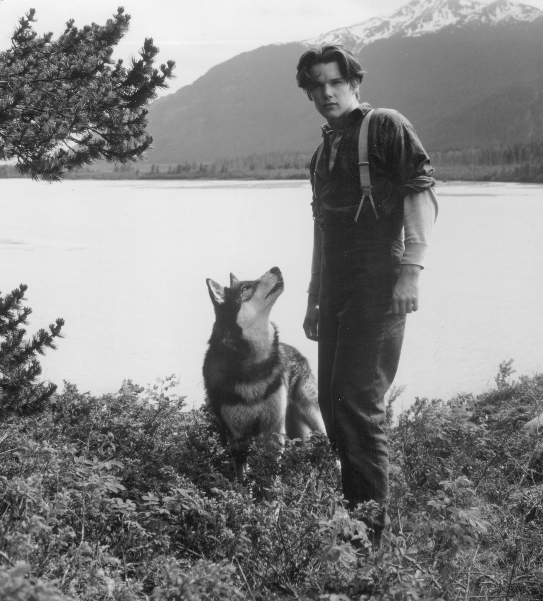 Ethan Hawke and Jed in White Fang (1991)