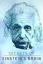 Secrets of Einstein's Brain (2015)