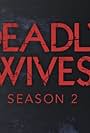 Deadly Wives (2013)