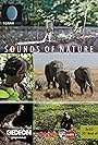 Sounds of Nature (2019)