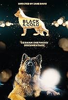 Black & Gold Documentary (2018)