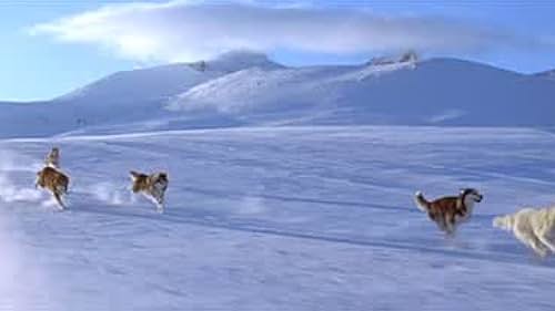 Eight Below