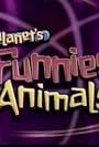 World's Funniest Animal Commercials (2013)