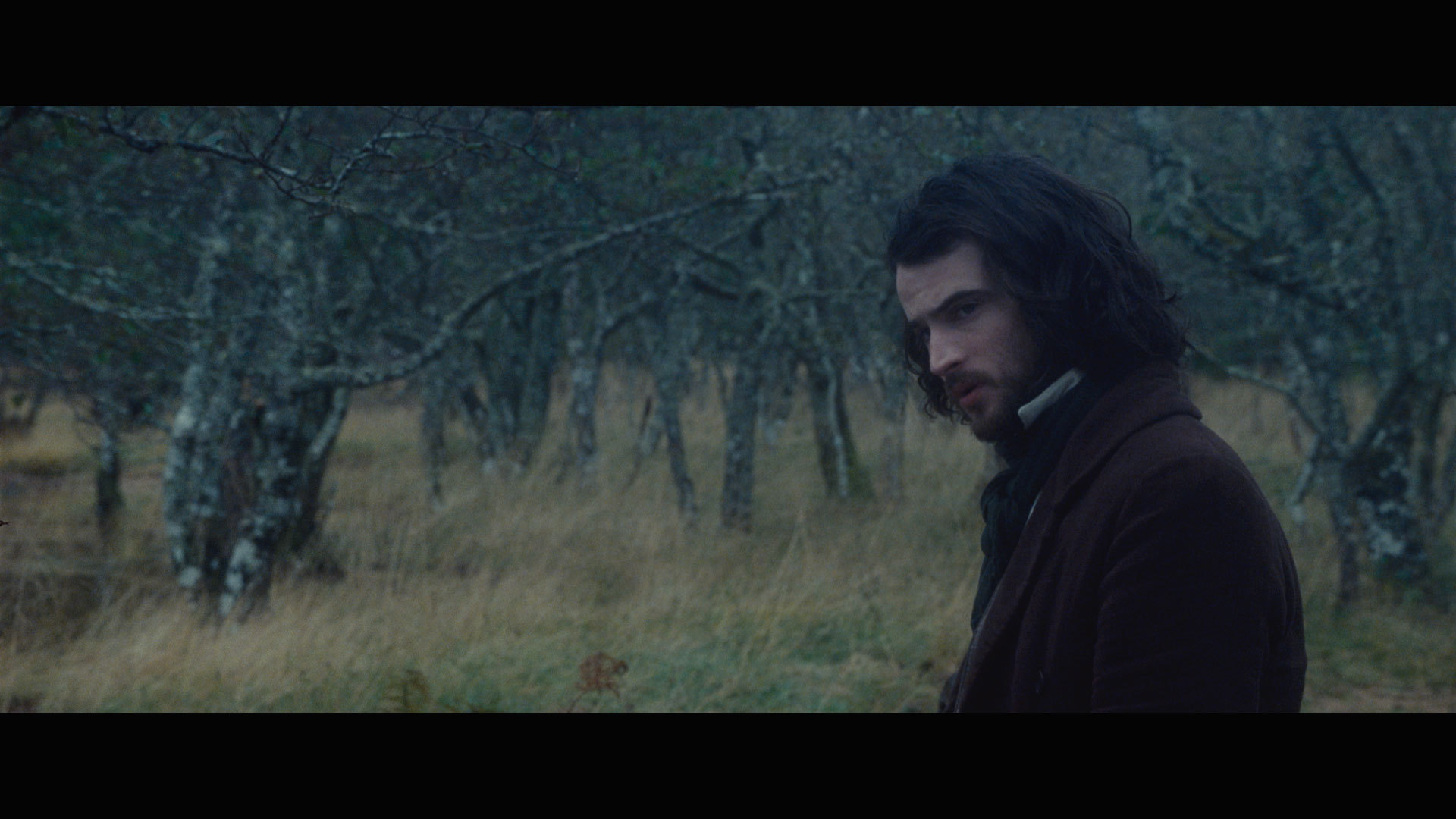 Tom Sturridge in Effie Gray (2014)