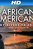 The African Americans: Many Rivers to Cross with Henry Louis Gates, Jr. (TV Mini Series 2013) Poster