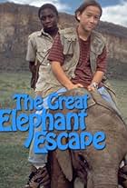 The Great Elephant Escape