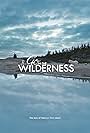 Go in the Wilderness (2013)