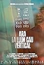 Ara la llum cau vertical (2022)