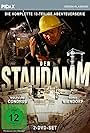 Der Staudamm