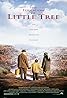 L'éducation de Little Tree (1997) Poster