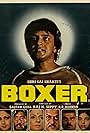 Boxer (1984)