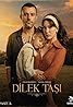 Dilek Tasi (TV Series 2023–2024) Poster