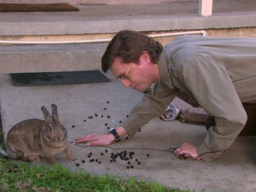 James Urbaniak in The Office (2005)