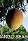 Mango Season's primary photo