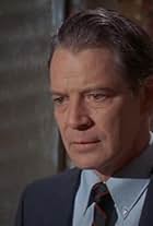 Michael Higgins in The Arrangement (1969)