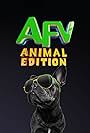 America's Funniest Videos: Animal Edition (2021)