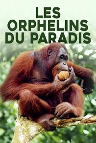 Primary photo for Les Orphelins du paradis