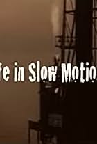 Life in Slow Motion (2008)