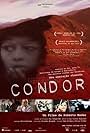 Condor (2007)