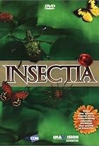 Insectia (1999)