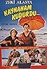 Kaynanam Kudurdu (1974) Poster