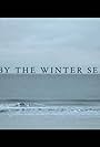 By the Winter Sea (2012)