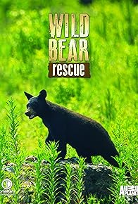 Primary photo for Wild Bear Rescue