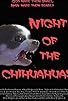 Primary photo for Night of the Chihuahuas