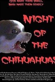 Primary photo for Night of the Chihuahuas