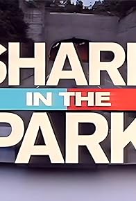 Primary photo for Shark in the Park