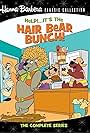 Help!... It's the Hair Bear Bunch!