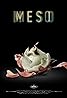 Meso (TV Series 2017) Poster