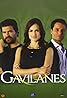 Gavilanes (TV Series 2010–2011) Poster