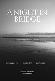 A Night in Bridge (2023)