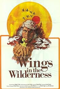 Primary photo for Wings in the Wilderness