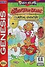 The Berenstain Bears' Camping Adventure (1993)