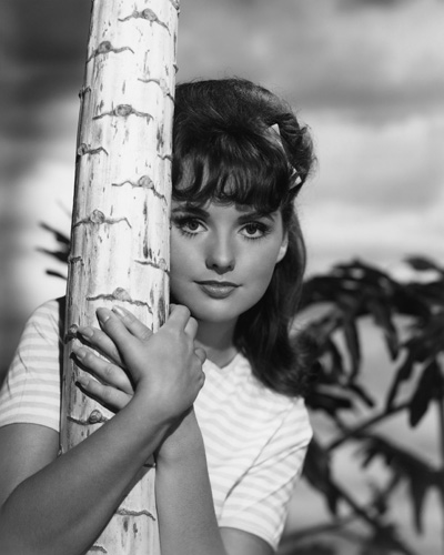 Dawn Wells in Gilligan's Island (1964)