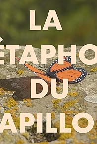 Primary photo for La métaphore du papillon