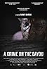 A Crime on the Bayou (2020) Poster