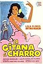 La gitana y el charro (1964)