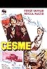 Çesme (1977) Poster