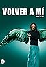 Volver a mí (TV Mini Series 2010) Poster