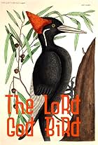 The Lord God Bird (2008)